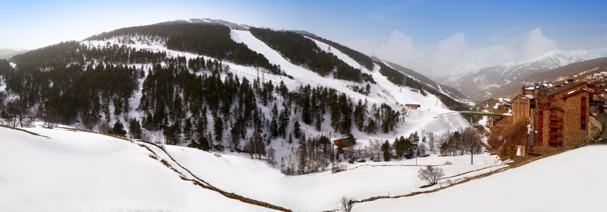 מידע על סולדאו